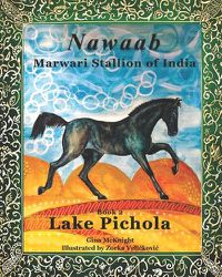 Cover image for Nawaab