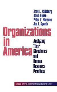 Cover image for Organizations in America: Analysing Their Structures and Human Resource Practices
