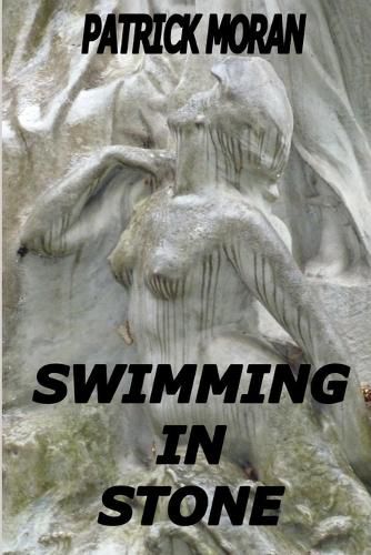 Cover image for Swimming in Stone