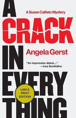 Cover image for A Crack in Everything