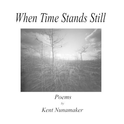 Cover image for When Time Stands Still