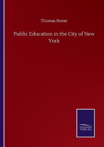 Cover image for Public Education in the City of New York