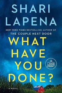 Cover image for What Have You Done?