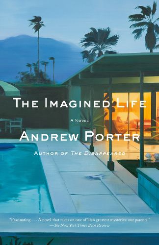 Cover image for The Imagined Life