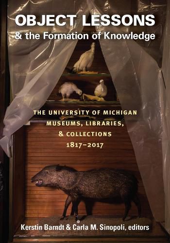 Cover image for Object Lessons and the Formation of Knowledge: The University of Michigan Museums, Libraries, and Collections 1817-2017