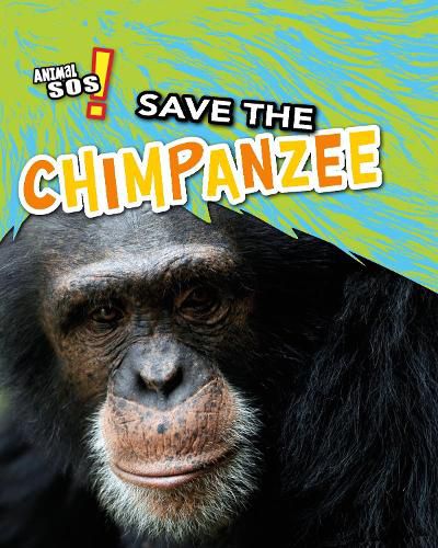 Cover image for Save the Chimpanzee