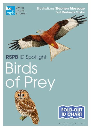 Cover image for RSPB ID Spotlight - Birds of Prey