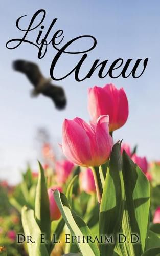 Cover image for Life Anew