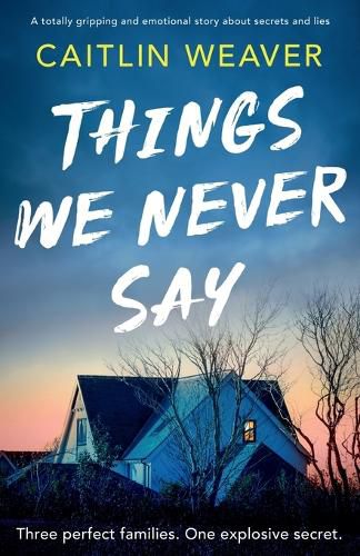 Cover image for Things We Never Say