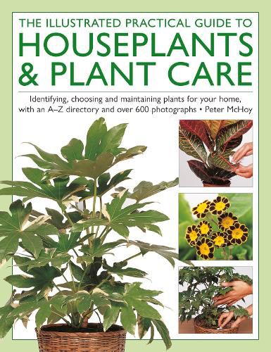 Cover image for The Illustrated Practical Guide to Houseplants & Plant Care