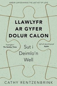 Cover image for Llawlyfr ar Gyfer Dolur Calon