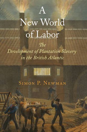 Cover image for A New World of Labor: The Development of Plantation Slavery in the British Atlantic