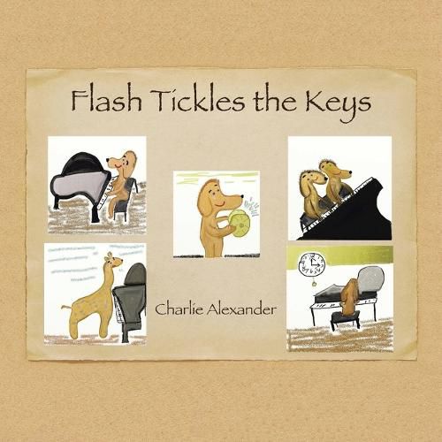 Cover image for Flash Tickles the Keys