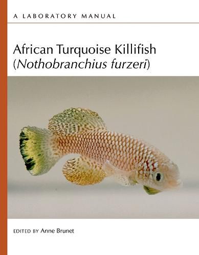 African Turquoise Killifish (Nothobranchius Furzeri): A Laboratory Manual