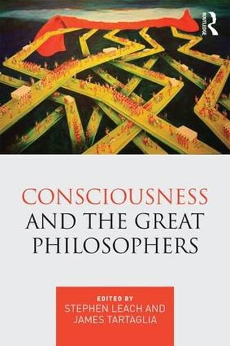 Cover image for Consciousness and the Great Philosophers: What would they have said about our mind-body problem?