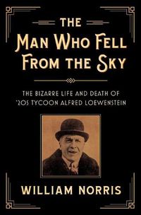 Cover image for The Man Who Fell From the Sky: The Bizarre Life and Death of '20s Tycoon Alfred Loewenstein
