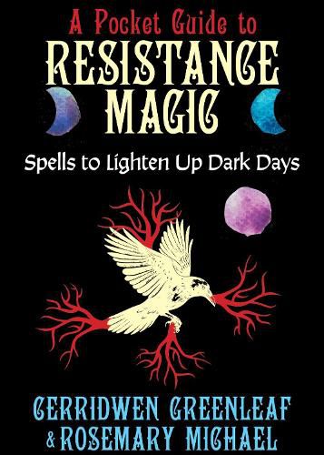 Cover image for A Pocket Guide to Resistance Magic