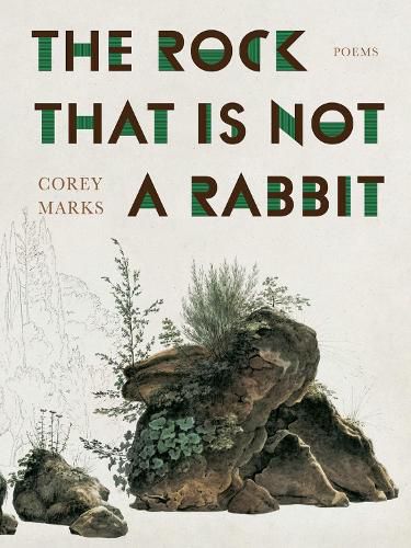 Cover image for The Rock That is Not a Rabbit