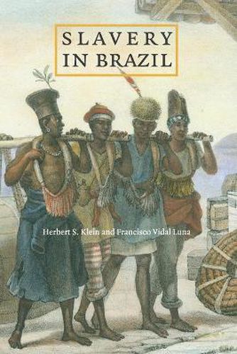 Cover image for Slavery in Brazil