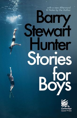 Cover image for Stories for Boys