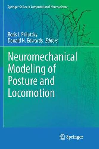 Cover image for Neuromechanical Modeling of Posture and Locomotion