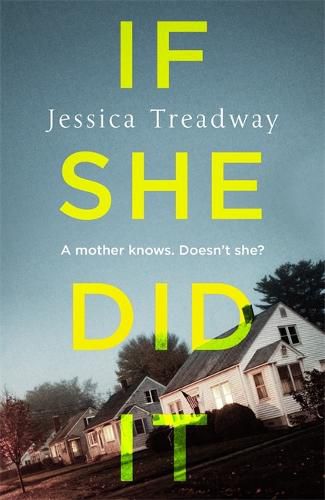 Cover image for If She Did It