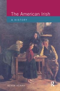 Cover image for The American Irish: A History