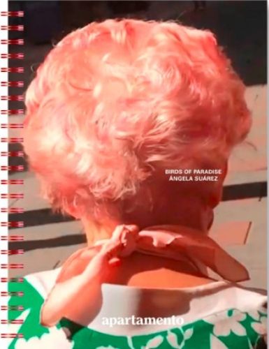 Cover image for Birds of Paradise