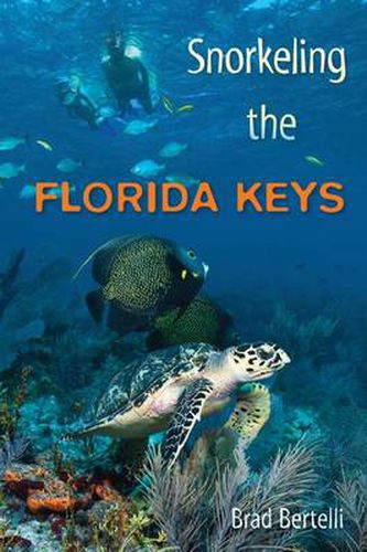 Cover image for Snorkeling the Florida Keys