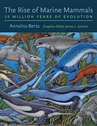 Cover image for The Rise of Marine Mammals: 50 Million Years of Evolution