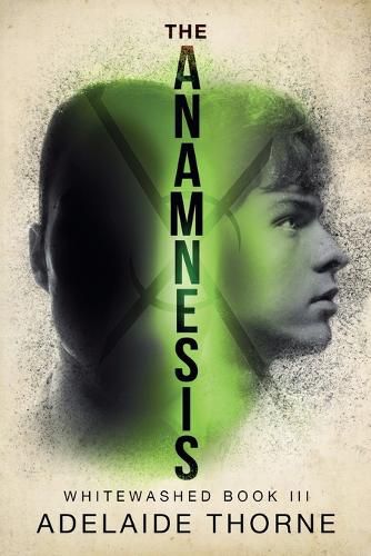 Cover image for The Anamnesis