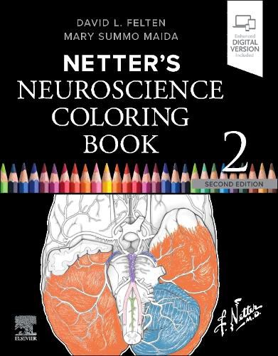 Cover image for Netter's Neuroscience Coloring Book