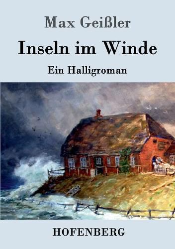 Cover image for Inseln im Winde: Ein Halligroman