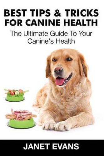 Best Tips & Tricks for Canine Health: The Ultimate Guide to Your Canine's Health