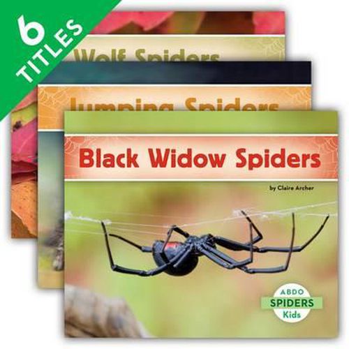 Cover image for Spiders