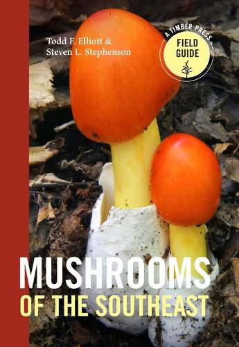 Cover image for Mushrooms of the Southeast