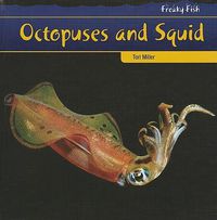 Cover image for Octopuses and Squid