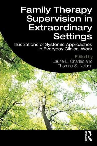 Cover image for Family Therapy Supervision in Extraordinary Settings: Illustrations of Systemic Approaches in Everyday Clinical Work