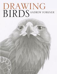 Cover image for Drawing Birds