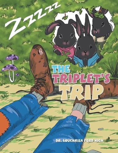 The Triplet's Trip