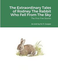 Cover image for The Extraordinary Tales of Rodney The Rabbit Who Fell From The Sky