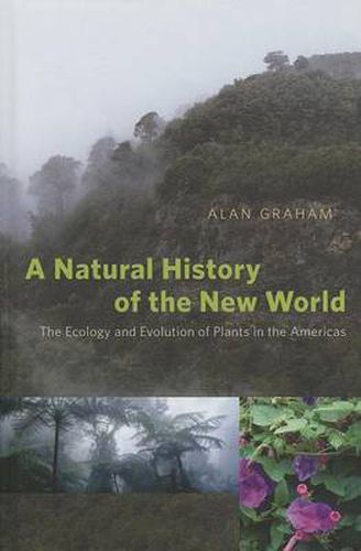 Cover image for A Natural History of the New World: The Ecology and Evolution of Plants in the Americas