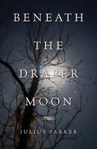 Cover image for Beneath the Draper Moon