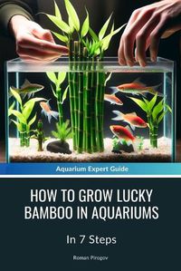 Cover image for How To Grow Lucky Bamboo In Aquariums