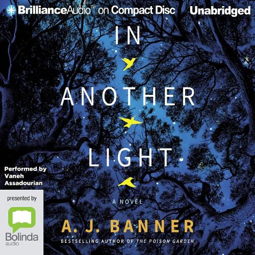 Cover image for In Another Light