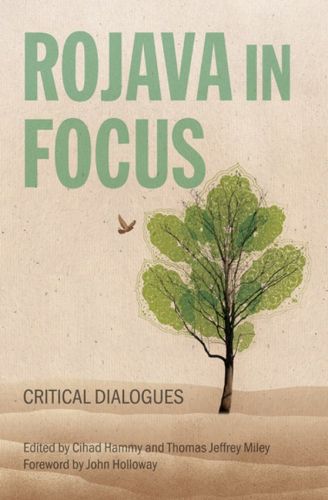 Cover image for Rojava In Focus