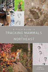 Cover image for A Field Guide to Tracking Mammals in the Northeast