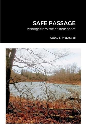 Cover image for Safe Passage