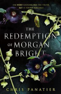 Cover image for The Redemption of Morgan Bright