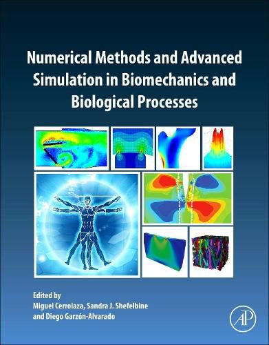 Cover image for Numerical Methods and Advanced Simulation in Biomechanics and Biological Processes